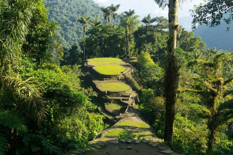 All About The Lost City Trek In Colombia
